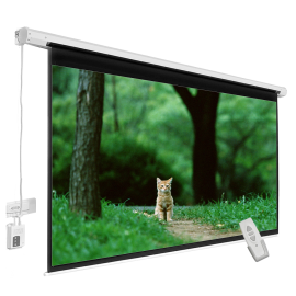 Motorized 6' X 6' (100") 1:1 Matte White Screen