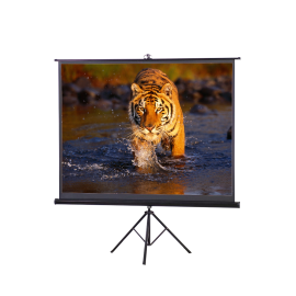 Tripod 6feet X 8feet (120") 4:3 Matte White Projector Screen