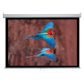 Manual 6' x 8' (120") 4:3 Matte White Projector Screen